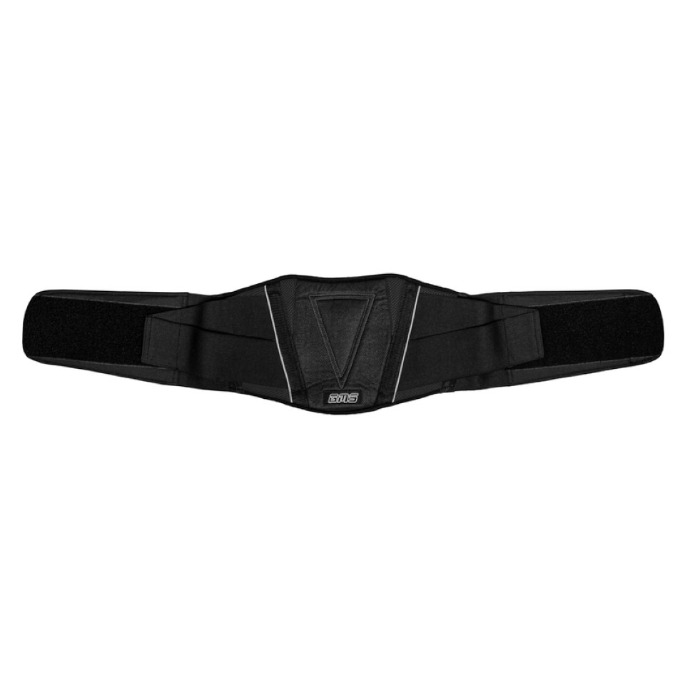 Ledvični pas Racing