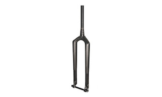 Prime Carbon Karbonska vilica 29'1 1/8 -1 1/5, 110 Thruaxle, črna